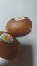 佳沛（zespri）新西兰金奇异果15粒巨大果146-175g猕猴桃中秋节礼品送水果礼盒 实拍图