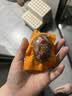 名渔湾蟹黄风味烤咸鸭蛋礼盒65g*20枚 流油松沙咸蛋鲜香 实拍图