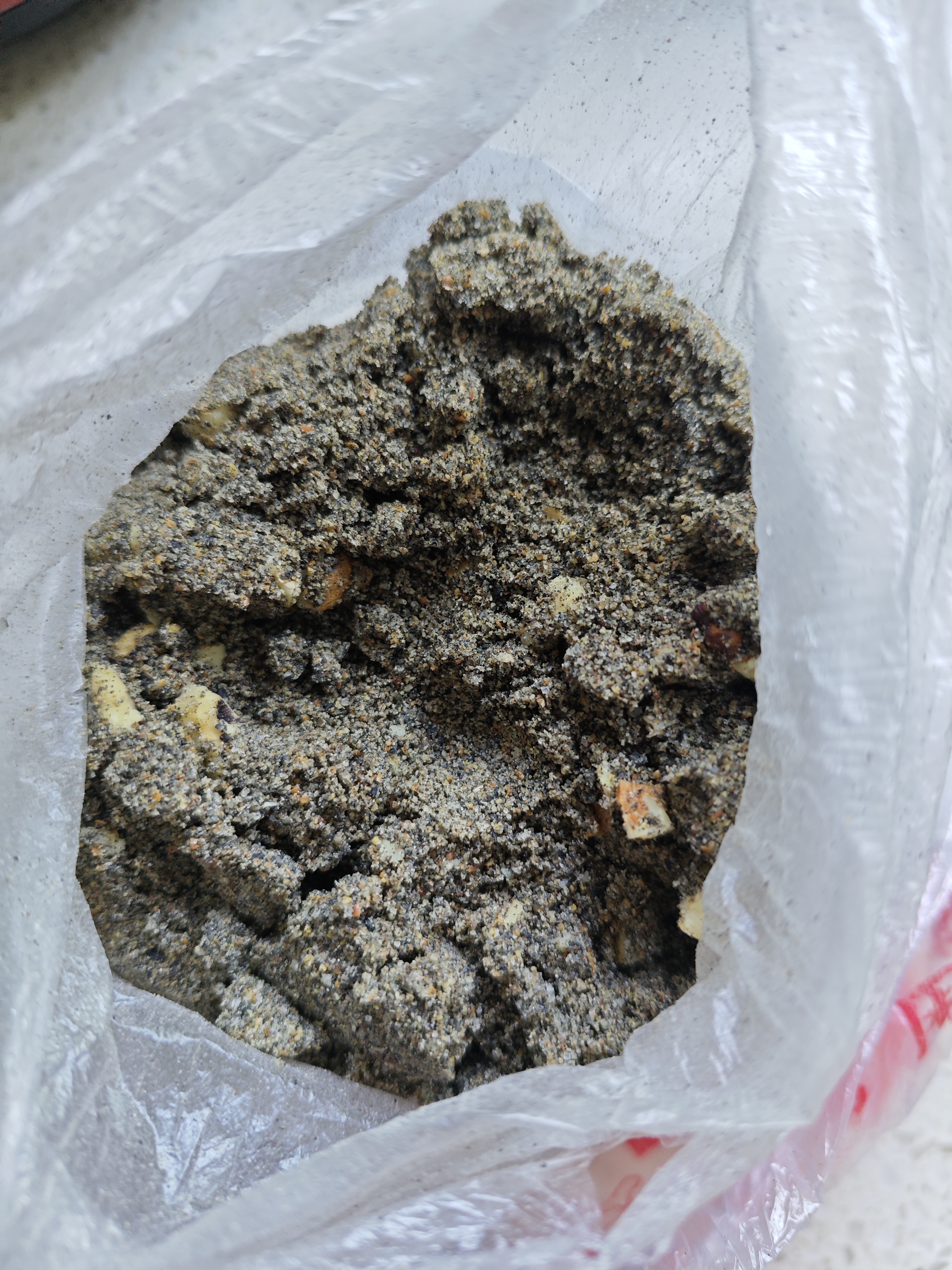 小熊（Bear）研磨机打粉机超细 料理机 中药粉碎机磨粉机小型 搅拌机 老人专用流食机FSJ-A03D1 实拍图