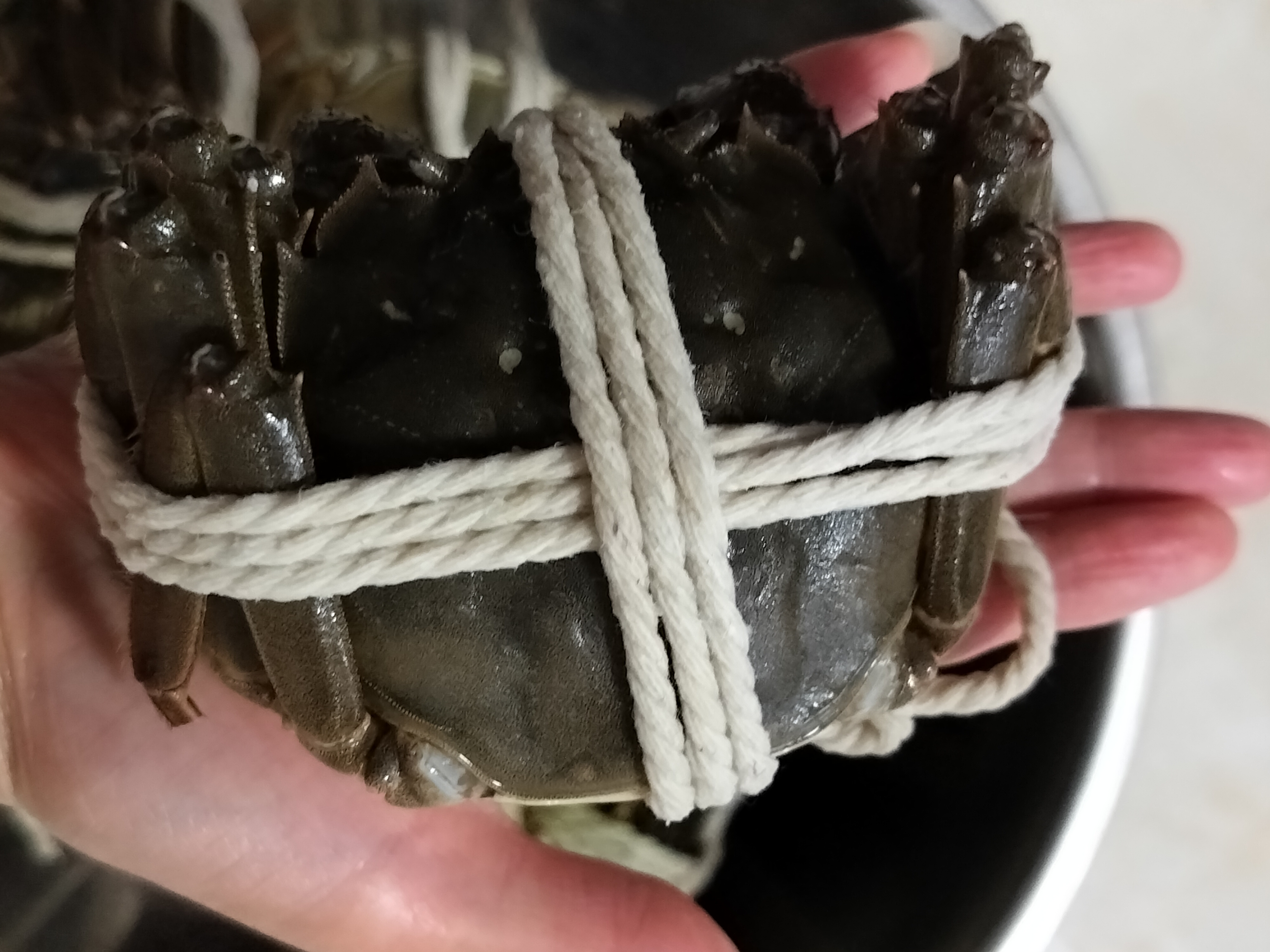 【活蟹】阳澄逍遥大闸蟹鲜活螃蟹全母蟹3.0-3.3两8只现货生海鲜湖河蟹中秋节送礼品盒 实拍图