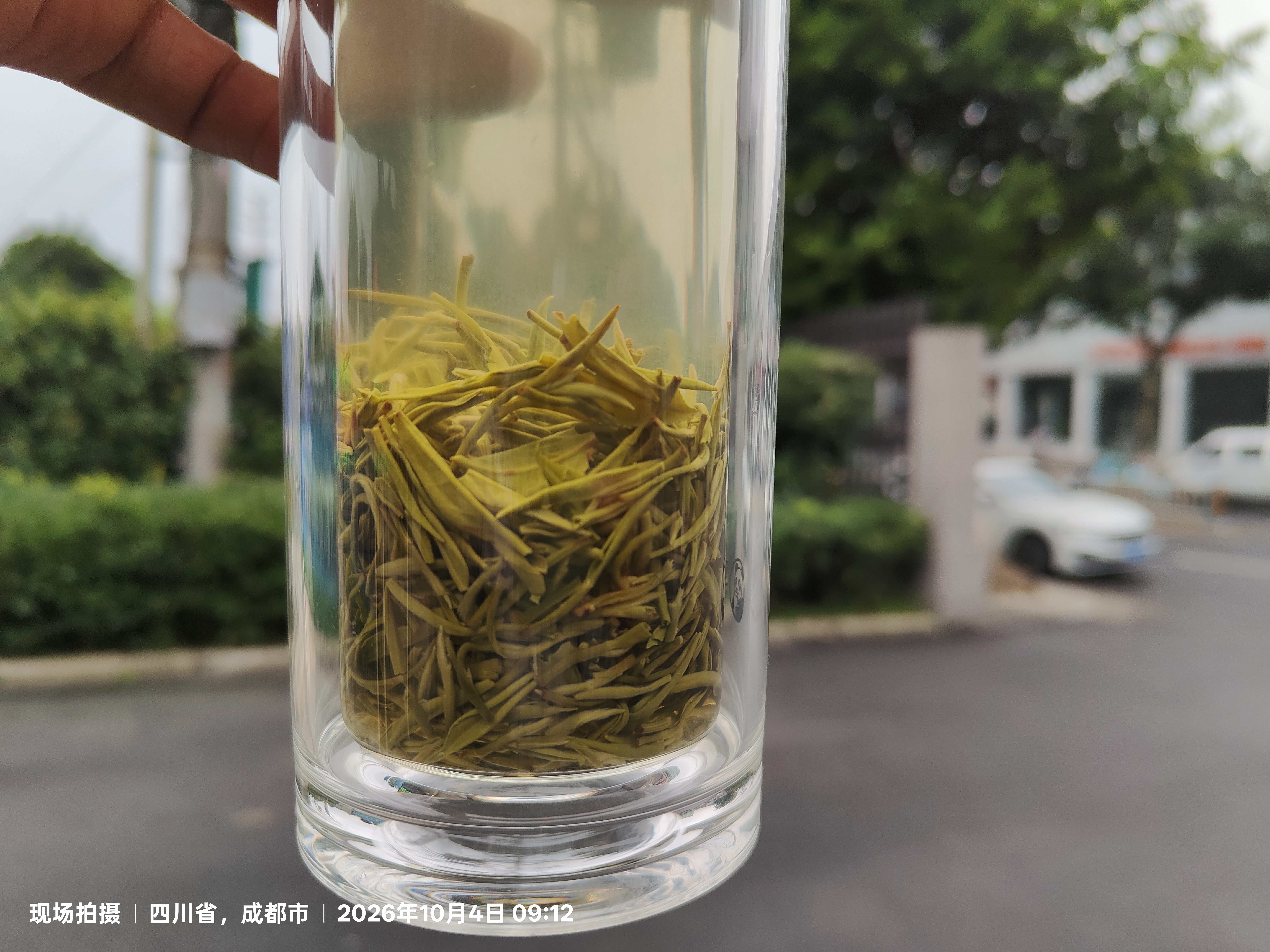 福茗源绿茶叶 苏州碧螺春 特级明前2026新茶春茶嫩芽茶叶礼盒送长辈250g 实拍图