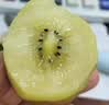 佳沛（zespri）新西兰金奇异果12粒特大果124-146g猕猴桃中秋节礼品送水果礼盒 实拍图