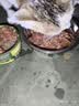 力狼（LILANG）宠物猫粮幼猫成猫零食猫湿粮猫咪猫罐头 金枪鱼+银鱼170g*12罐 实拍图