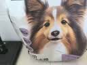 网易严选犬粮全价冻干三拼鸡肉狗粮幼犬成犬小型中大型犬10kg【宠物金选】 实拍图