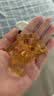 澳佳宝（Blackmores）花少同款4倍DHA脑铂金Omega3深海鱼油 助记忆rTG型 60粒/瓶进口*2 实拍图