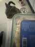 WEYES冻干鸡小胸500g桶装宠物猫狗零食肉干营养高蛋白适口性好 实拍图