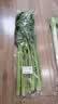 大芹菜约500g 实拍图