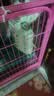 沃趣 猫砂2.0升级版低尘猫砂膨润土清香型猫砂强效除臭20斤易储存 实拍图