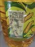 金龙鱼 食用油 非转基因 物理压榨玉米油6.18L（蕴含植物甾醇） 实拍图