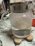 GLASSLOCK耐热玻璃冷水壶高硼硅家用大容量凉白开水壶泡茶果汁壶1000ml 实拍图