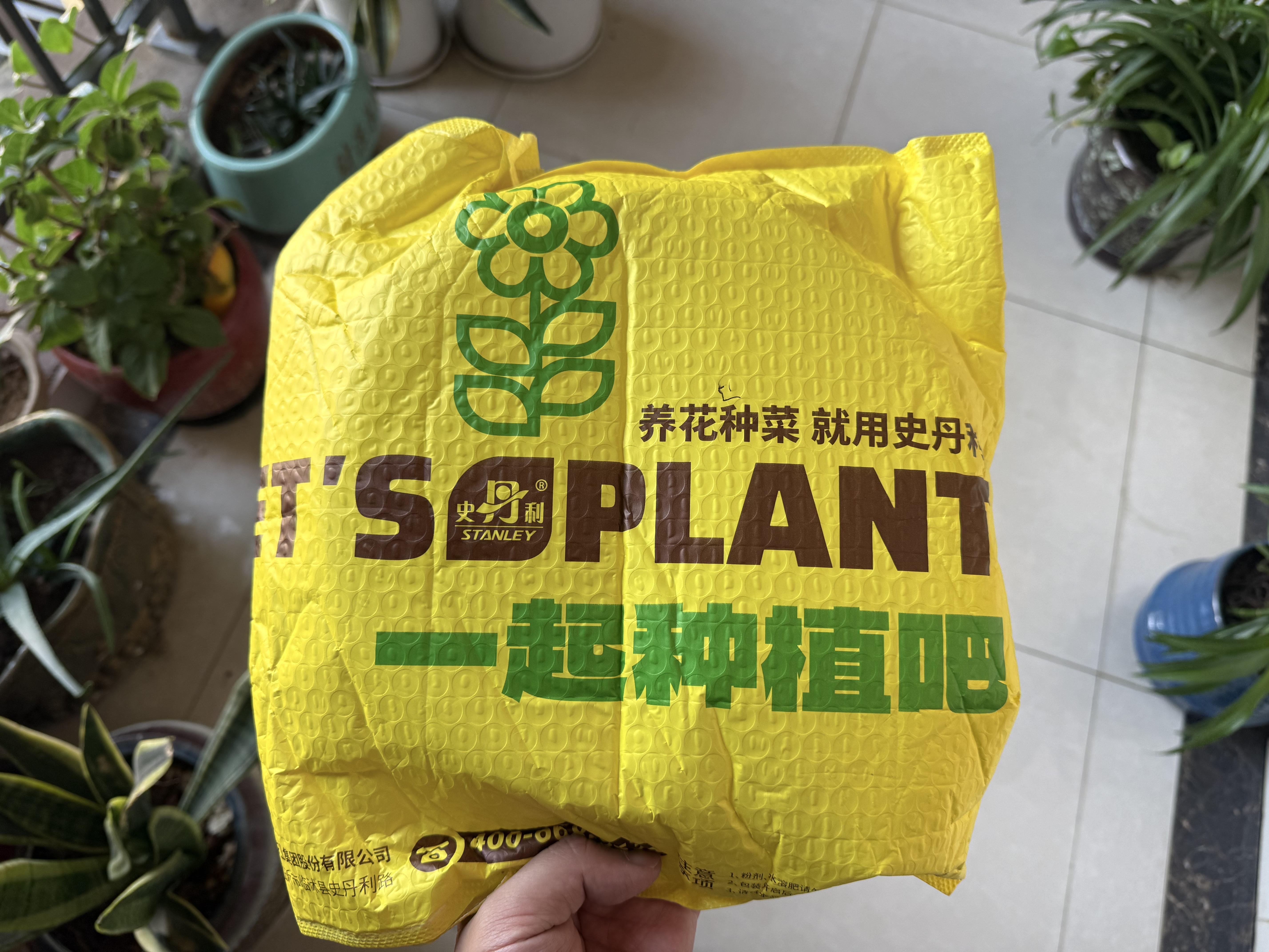 史丹利花盆托盘花托底座接水托盘花盘底托花架盆景底盘 3只装 象牙白260 实拍图