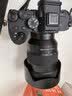 索尼（SONY）索尼A7M5+24105G全画幅标准变焦G镜头套装 实拍图