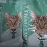 凯锐思天然猫粮成猫粮 鱼肉海洋鱼深海鱼天然粮 成猫20斤【囤货装】 实拍图