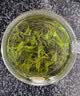 沏万年小叶苦丁茶特级2026嫩芽正宗贵州高血糖血压血脂清肝新茶叶100g 实拍图