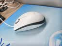 罗技（Logitech）M100r 鼠标 有线鼠标 办公鼠标 对称鼠标 大手鼠标 白色 实拍图