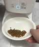 霍曼（Homerun）Real智能自动喂食器猫粮定时猫咪自动投食器PF20（配陶瓷碗） 实拍图