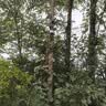 防术太阳能室外监控摄像头360无死角带夜视黑光4g终身免流量无需连wifi无电无网高清手机远程户外 实拍图