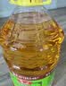 鲁花 物理压榨特香非转基因玉米胚芽油6.18L 富含植物甾醇  实拍图