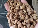 皇家猫粮 成猫猫粮 营养均衡 F32 通用粮 1-7岁 4.5KG【宠物金选】 实拍图