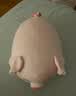 名创优品（MINISO）小猪B-BO玩偶抱枕娃娃公仔抱睡生日礼物女学生午睡枕趴趴bobo猪 实拍图