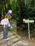 Naturehike挪客初雪EXT1三节碳素登山杖碳纤维户外伸缩徒步专业登山杖外锁 实拍图