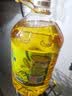 金龙鱼 食用油 非转基因 物理压榨玉米油6.18L（蕴含植物甾醇） 实拍图