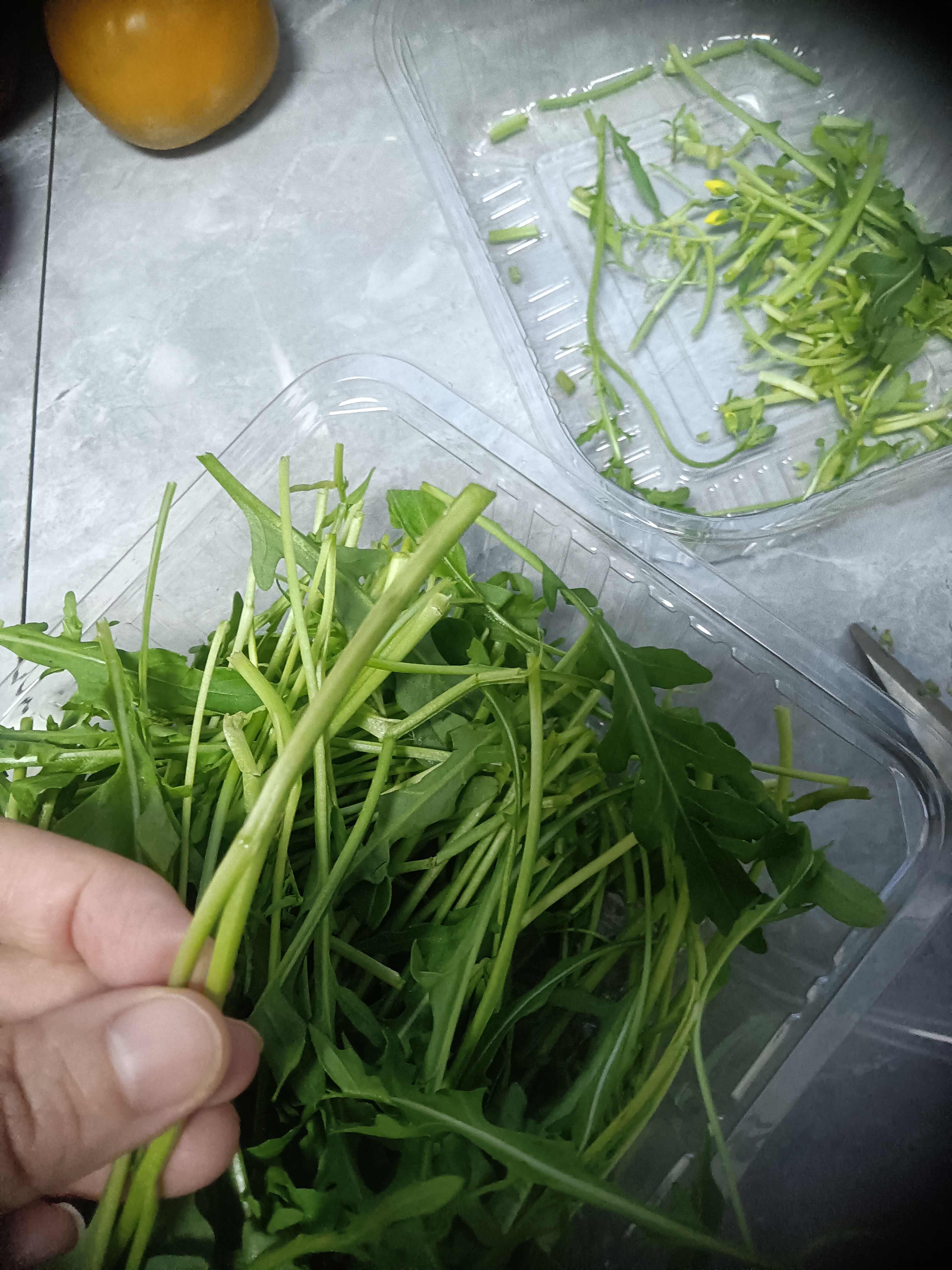 【水果菜】芝麻菜150g 实拍图