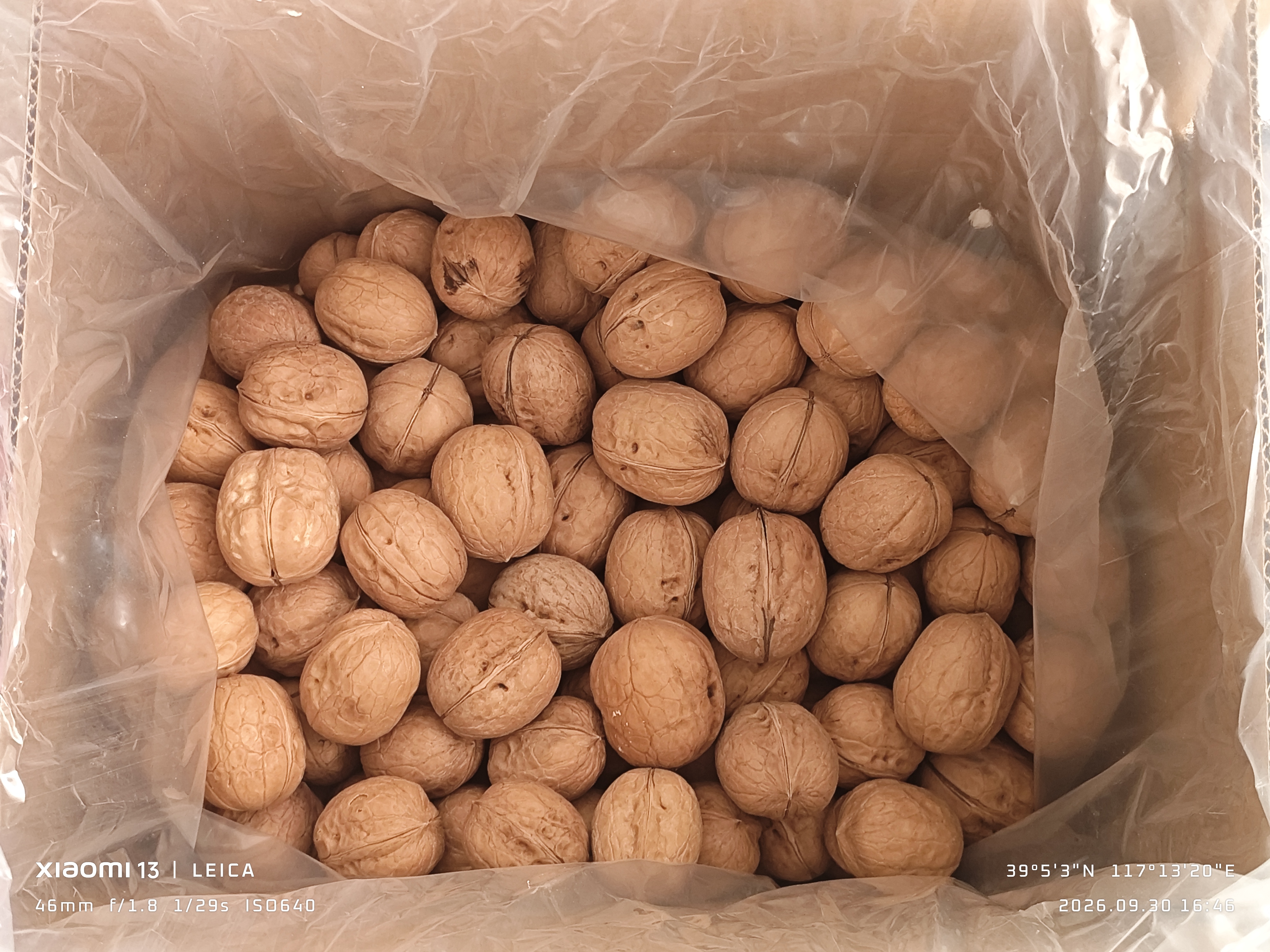 京东京造新疆阿克苏薄皮核桃2.5kg原味新货纸皮节日礼盒每日坚果特产零食 实拍图