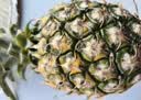 广东湛江徐闻菠萝 香水菠萝 热带水果 【活动期间合并发货】1个 净重1.3-2斤 实拍图