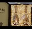 双沟珍宝坊君坊 礼盒装 浓香型白酒 41.8度 520ml*2瓶 中秋礼品 实拍图