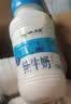 小西牛瓶装纯牛奶3.6g蛋白243ml*12瓶整箱礼盒装（5月底日期） 实拍图