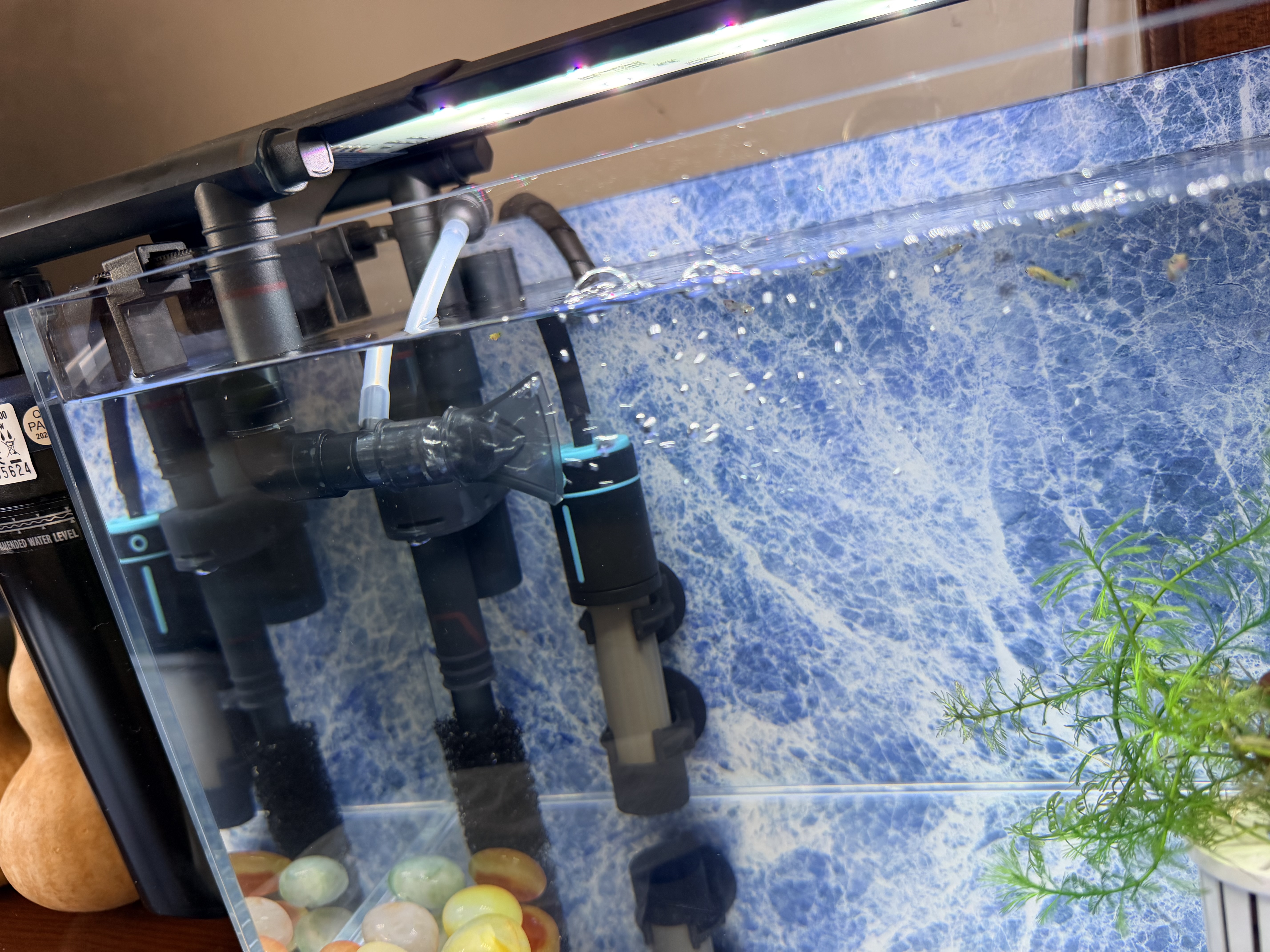 寿禾 雨花石鹅卵石七彩石子鱼缸造景庭院花盆装饰 500g雨花石2-3cm 实拍图
