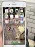 Apple/苹果 苹果 iPhone 17/16/15/14/13/12/11/X系列二手手机 规格见质检报告 苹果 iPhone 8 Plus 实拍图