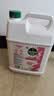 滴露（Dettol）洗手液补充装大桶消毒滋润5L 儿童家庭装杀菌护手 实拍图