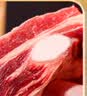 月盛斋原切牛肋排净重4斤 四肋牛排 进口生鲜牛排骨 中华老字号 实拍图