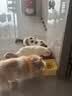 冠能猫粮室内成猫猫粮10kg 全价猫粮 添加膳食纤维 控制毛球 实拍图
