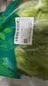 【烧烤季】钟灵山罗马生菜400g 实拍图
