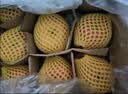 佳农烟台红富士苹果 净重4.8斤 单果重约200g+ 生鲜水果礼盒 源头直发 实拍图