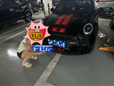 3M【原装进口】汽车贴膜 加大款 朗清系列 前浅后深轿车 汽车玻璃膜车膜太阳膜隔热膜车窗膜 实拍图