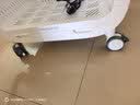 霍曼宠物智能烘干箱猫咪烘干机狗狗吹风机宠物吹水机PD80Pro 实拍图