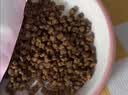 多特思猫主食餐包成幼猫全价非零食罐头羊奶炖鸡50g猫饭湿粮妙鲜包 实拍图