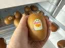 佳沛（zespri）新西兰金奇异果16粒经典果88-103g猕猴桃水果礼盒 实拍图