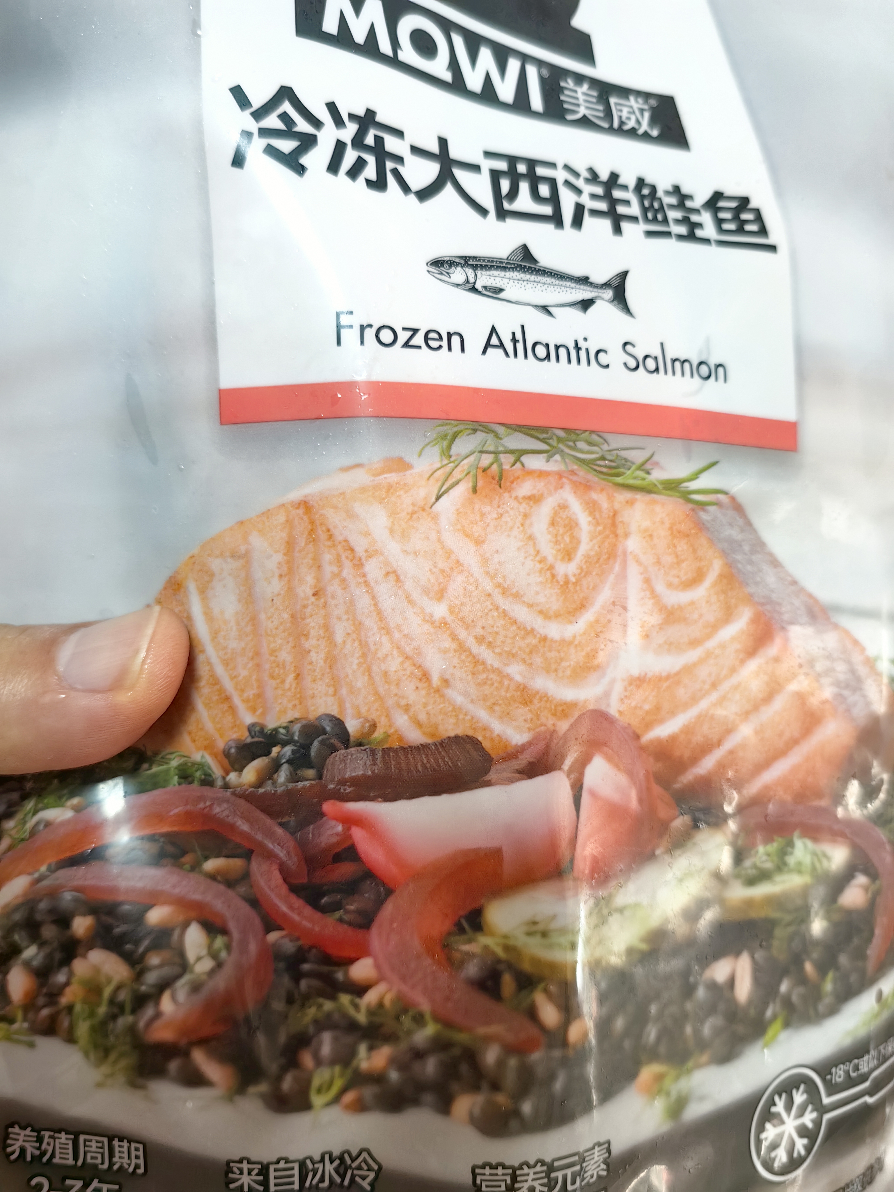 美威冷冻智利严选三文鱼排鱼段4块净重480g大西洋鲑鱼 进口鱼类 海鲜 实拍图