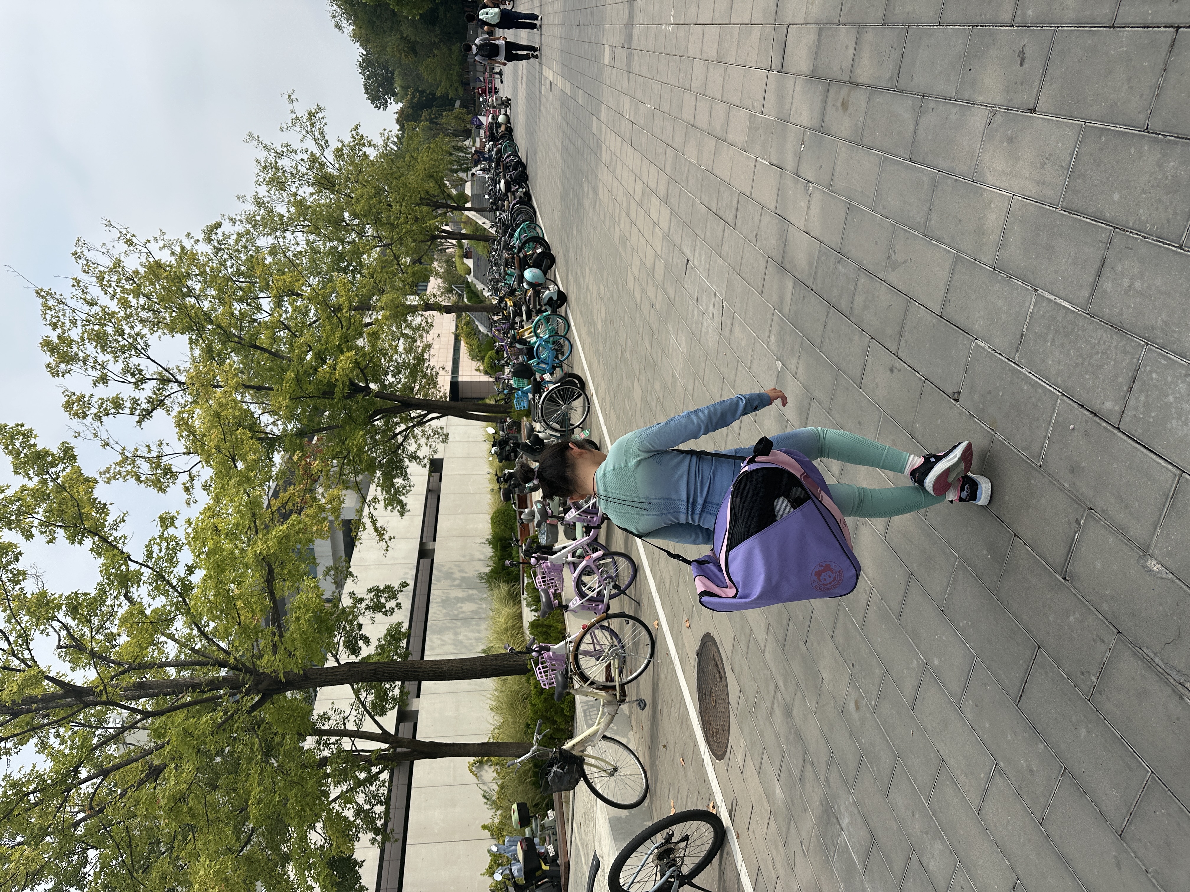 乐秀三层包加大儿童轮滑包溜冰鞋包旱冰鞋包 大包中包三角包  紫色 实拍图