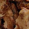 紫燕百味鸡重阳节礼盒熟食卤味肉类零食烤鸭烧鸡肉送礼长辈父母预制菜800g 实拍图