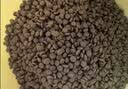 朗亲猫粮成猫专用全价主粮英短蓝猫全猫种通用型猫干粮5kg 实拍图
