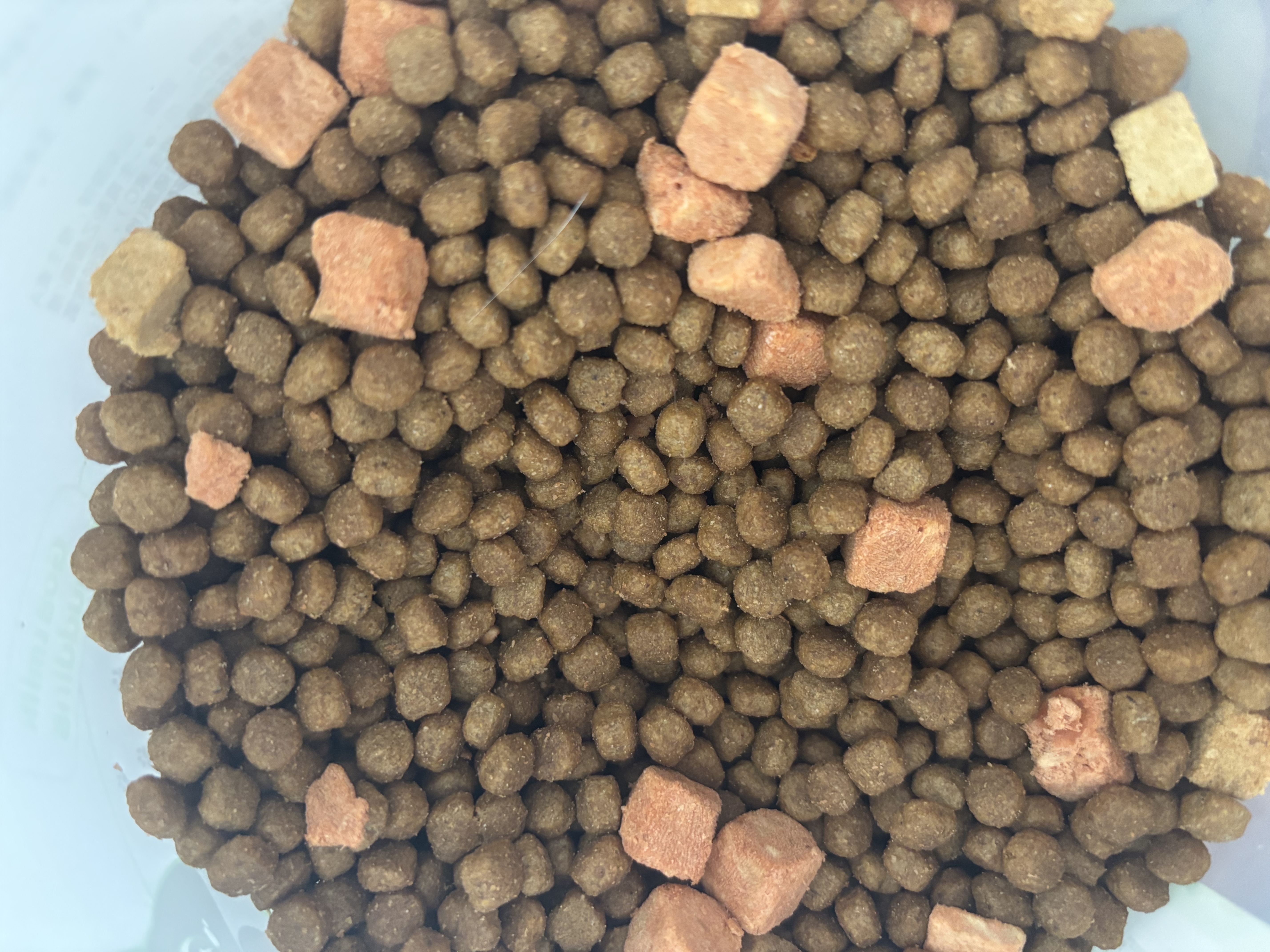 麦富迪猫粮 超肉粒冻干双拼幼猫粮免疫护肠胃 三文鱼2kg 实拍图