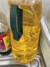 西王 食用油 玉米胚芽油1.8L  非转基因物理压榨可烘焙小瓶玉米油 实拍图