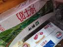 伊利谷粒多 红谷牛奶饮品整箱 250ml*12盒 礼盒装 实拍图