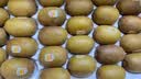 佳沛（zespri）金奇异果25-27粒原箱特大果124-146g猕猴桃水果礼盒 实拍图